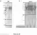 Fig. 08 - TELOMERASE HOLOENZYME COMPLEX AND METHODS OF USE THEREOF