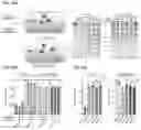 Fig. 45 - CRISPR-Cas effector polypeptides and methods of use thereof