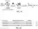 Fig. 02 - Evolution of proteases