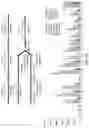Fig. 23 - Evolution of proteases