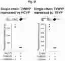Fig. 44 - Programmable protein circuits in living cells