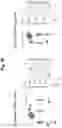 Fig. 46 - Programmable protein circuits in living cells