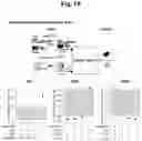 Fig. 56 - Programmable protein circuits in living cells