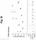 Fig. 68 - Programmable protein circuits in living cells