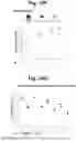 Fig. 74 - Programmable protein circuits in living cells