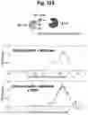 Fig. 76 - Programmable protein circuits in living cells