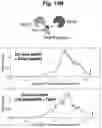 Fig. 77 - Programmable protein circuits in living cells