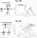 Fig. 81 - Programmable protein circuits in living cells