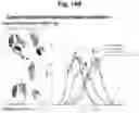 Fig. 84 - Programmable protein circuits in living cells