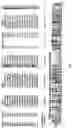 Fig. 02 - MRNA display antibody library and methods