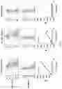 Fig. 09 - MRNA display antibody library and methods