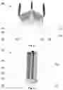 Fig. 03 - Wind turbine