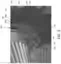 Fig. 04 - Field machining of wind turbine gearboxes