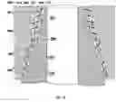Fig. 08 - KEY THREAD AND KEY THREAD SYSTEMS