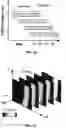 Fig. 06 - Ultra-high throughput detection of fluorescent droplets using time domain encoded optofluidics