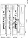 Fig. 09 - Ultra-high throughput detection of fluorescent droplets using time domain encoded optofluidics