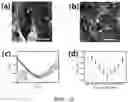 Fig. 08 - RGO-BASED BIOSENSOR, MANUFACTURING METHOD OF SAME, AND DETECTION METHOD FOR BIOMATERIAL