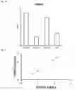 Fig. 04 - Method for screening for platelet production promoters