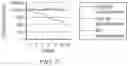 Fig. 08 - METHODS OF ANALYZING DNA IN URINE