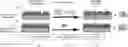 Fig. 01 - COMPETITIVE SMALL MOLECULE DETECTION ASSAYS USING ARRAYED IMAGING REFLECTOMETRY