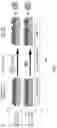 Fig. 02 - COMPETITIVE SMALL MOLECULE DETECTION ASSAYS USING ARRAYED IMAGING REFLECTOMETRY