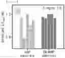 Fig. 28 - BIOLOGICAL MATERIAL DETECTION SENSOR AND THE FABRICATING METHOD THEREOF