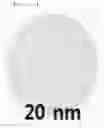 Fig. 48 - BIOLOGICAL MATERIAL DETECTION SENSOR AND THE FABRICATING METHOD THEREOF