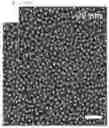 Fig. 52 - BIOLOGICAL MATERIAL DETECTION SENSOR AND THE FABRICATING METHOD THEREOF