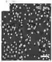 Fig. 53 - BIOLOGICAL MATERIAL DETECTION SENSOR AND THE FABRICATING METHOD THEREOF
