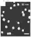 Fig. 55 - BIOLOGICAL MATERIAL DETECTION SENSOR AND THE FABRICATING METHOD THEREOF