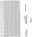 Fig. 02 - PHAGE CONSTRUCTS FOR DETECTING BACTERIA IN A FLUID, MICROFLUIDIC DEVICES FOR USE WITH CONSTRUCTS, AND RELATED METHODS