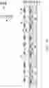 Fig. 09 - Package, optical device, and manufacturing method of package