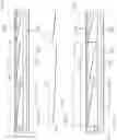 Fig. 08 - Multi-chamber switchable optical element