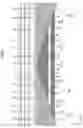 Fig. 07 - Display device