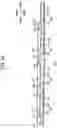 Fig. 25 - Image forming apparatus and process cartridge