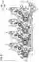 Fig. 28 - Image forming apparatus and process cartridge