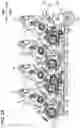 Fig. 30 - Image forming apparatus and process cartridge