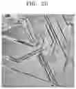 Fig. 06 - HOLOGRAPHIC RECONSTRUCTION APPARATUS AND METHOD
