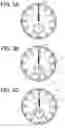 Fig. 04 - Electronic timepiece and indication control method