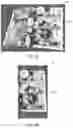 Fig. 02 - NON-TRANSITORY COMPUTER-READABLE MEDIUM AND DEVICE FOR BOOK DISPLAY