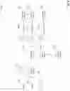 Fig. 05 - Inline categorizing of events