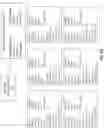 Fig. 07 - Automatic creation of best known configurations
