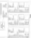 Fig. 08 - Automatic creation of best known configurations