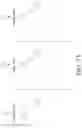 Fig. 17 - Synchronized organization directory with team member folders