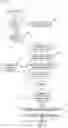 Fig. 03 - Single-click matchmaking
