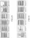 Fig. 08 - Apparatus and method for displaying multiple display panels with a progressive relationship using cognitive pattern recognition