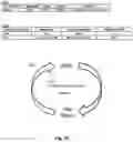 Fig. 33 - Structured data folding with transmutations