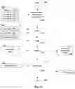 Fig. 74 - Structured data folding with transmutations