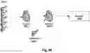 Fig. 99 - Structured data folding with transmutations