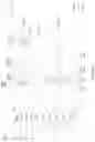 Fig. 10 - Integrated circuit and method of forming the same